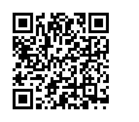 DEI survey QR code