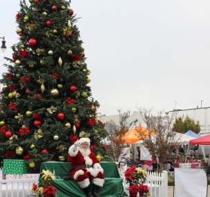 Joy Around the World: Festival of Holidays and Tree Lighting