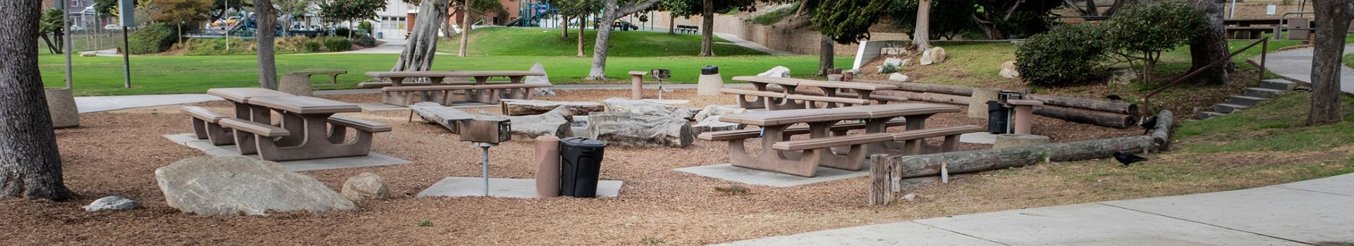 Picnic Area with table, fire pit, green grass and trees