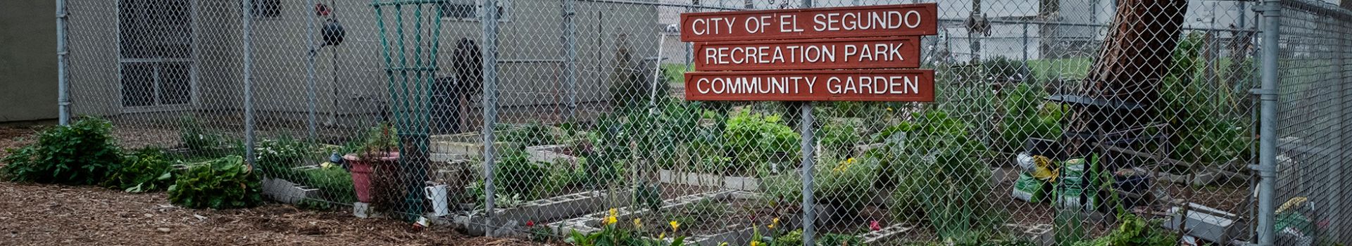 Community Garden sign with fence and veggies