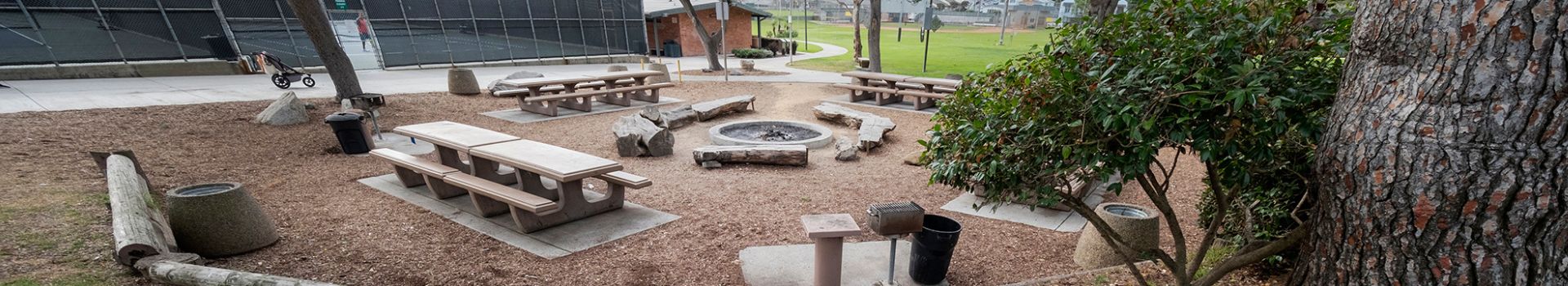 Firepit and picnic tables in park with trees