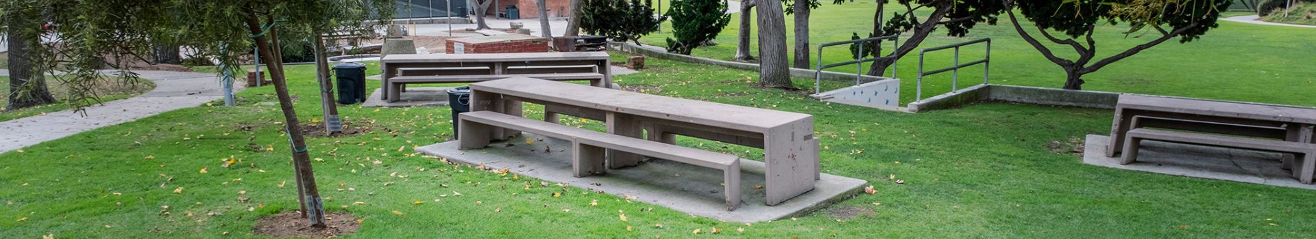 picnic tables in green grass with trees