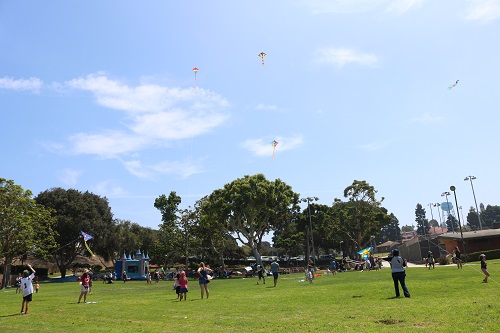 Fly a kite day